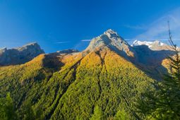 Autumn in Cogne - Aosta Valley
