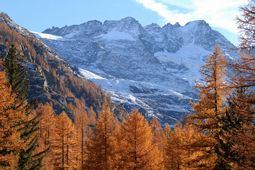 Autunno a Cogne - Valle d'Aosta
