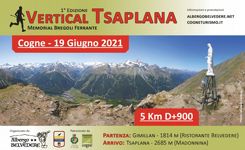 Vertical Tsaplana in Cogne, Aosta Valley