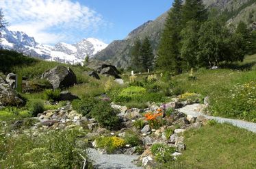 Paradisia Alpine Botanical Garden in Cogne, Aosta Valley