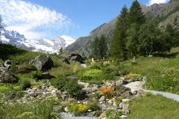 Giardino Botanico Alpino Paradisia